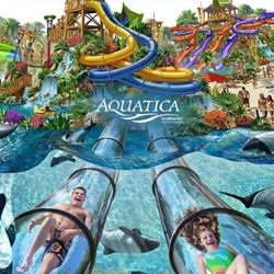 Aquatica Ticket