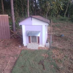 Over Size Dog House