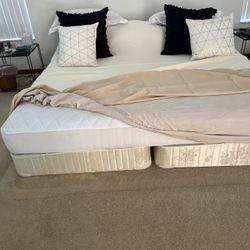King Mattress With 2  Box Springs FREE