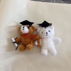 Graduation Bear Bundle 