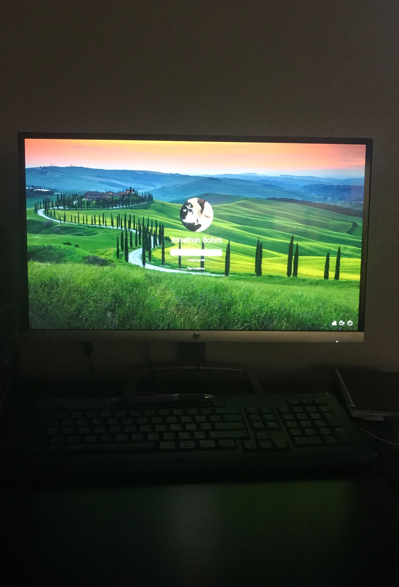 Hp computer monitor