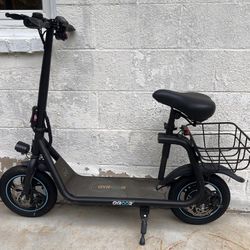 Electric Scooter 