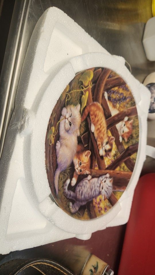Cat Plates