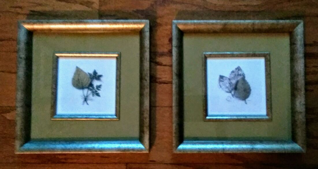 Brand New Set of Framed & Matted Hanging Leaf Art