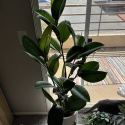 Large Fake Tree - 60 Inches