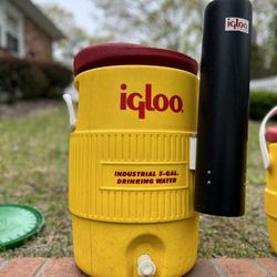 Igloo Cooler