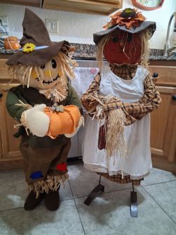 Mr. & Mrs Scarecrow
