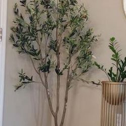 Pretty Artificial Plant 5 Ft Tall Olive 🫒 Tree Comes With Planter! Brand New