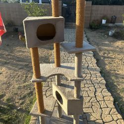 Cat Tree