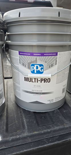 Ppg paint 5g