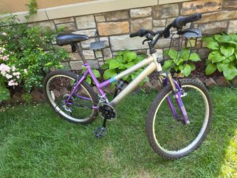 Magnate bike bicycle 24 " tires