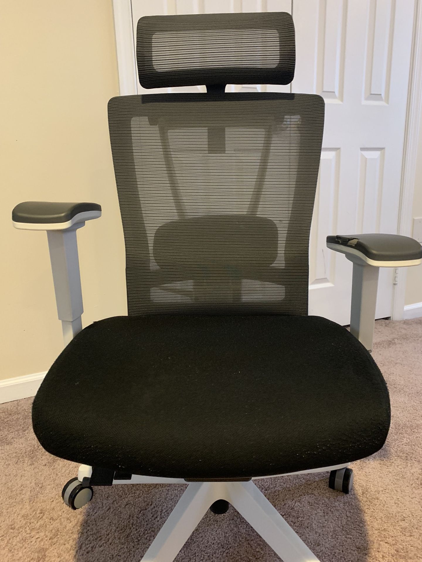 Ergo Chair Pro Autonomous 