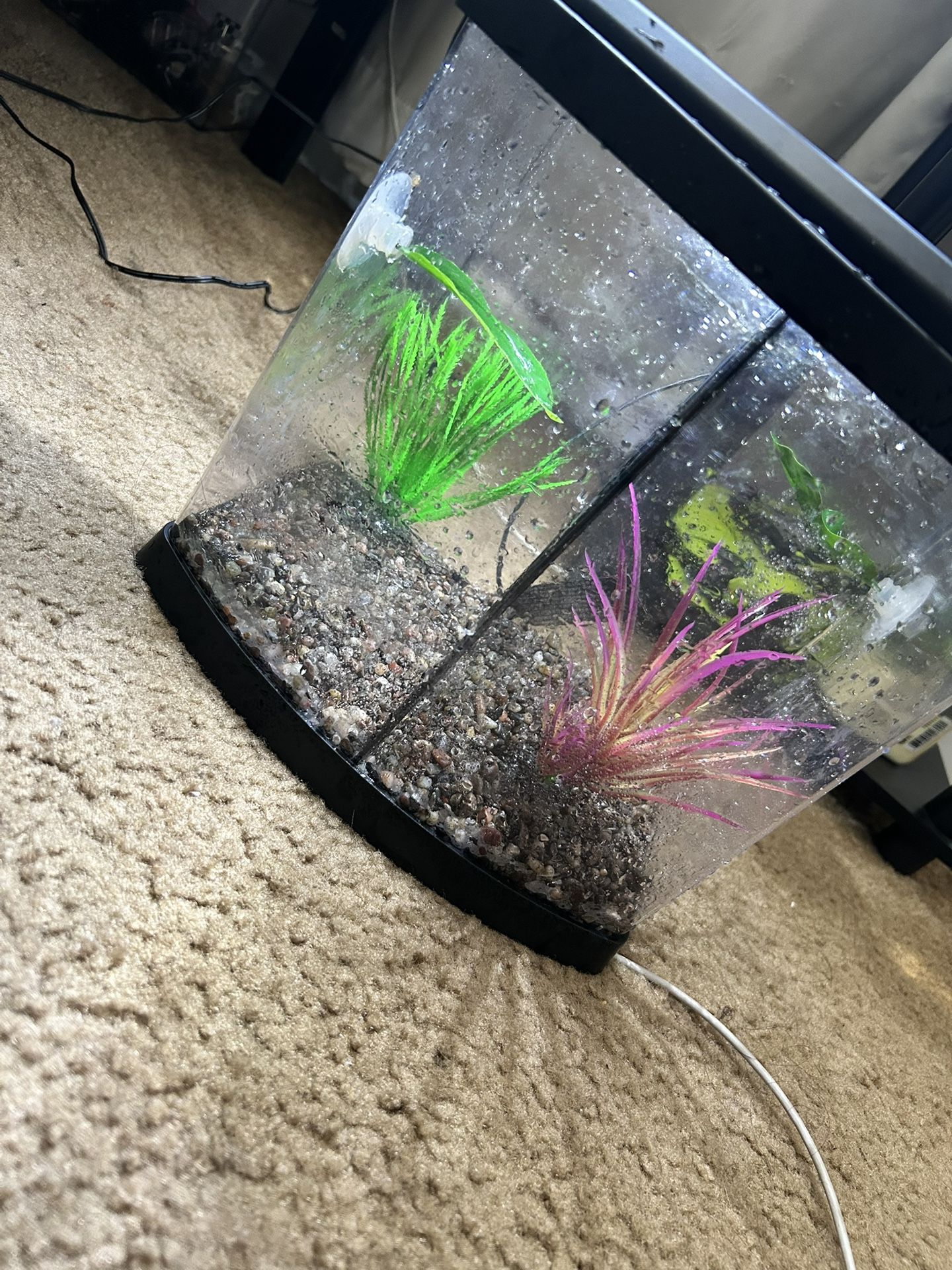 2.5 Gallon fish tank