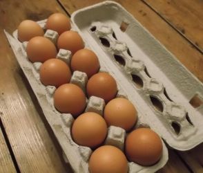 Fresh eggs!