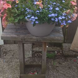 Different Flower hanging baskets (3)