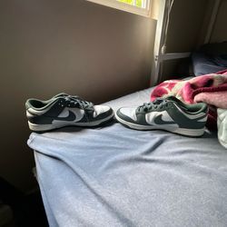 Nike Dunks (Barley used)