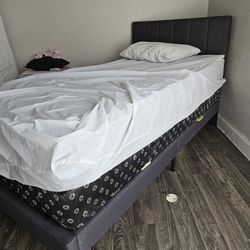 Twin Bed Like New 