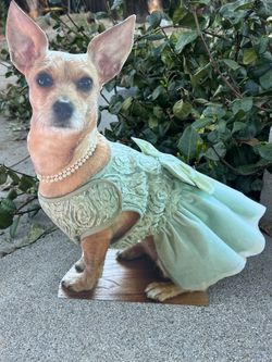 Realistic Pet Photo Props