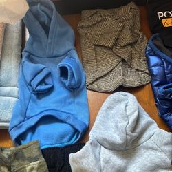 Puppy Clothes For Winter