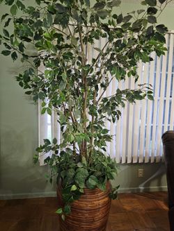 Large decor tree
