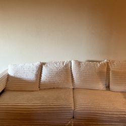 Brand New Couch A Week Old 