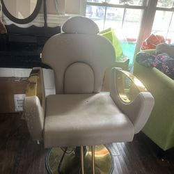Salon Chair