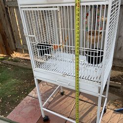 Bird Cage