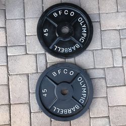45 lb Olympic Weights
