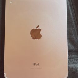 iPad Mini Pro