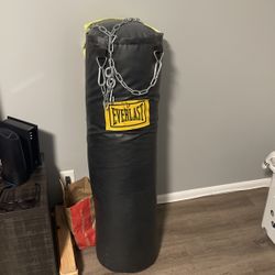 Everlast 80 Pound Heavy Bag With New Chain
