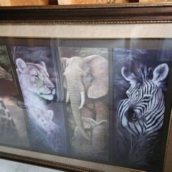 Pride Of Africa Print