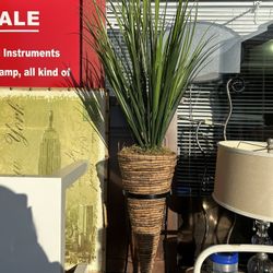 Plant With A Metal Stand