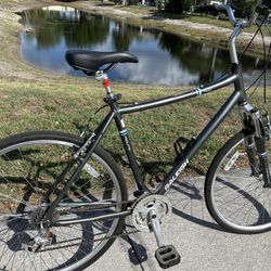 Raleigh Route 4.0 Comfort Hybrid Bicycle XL SERVICED