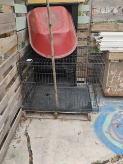 Dog Cage