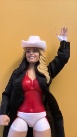 WWE Female Wrestler Action Figure