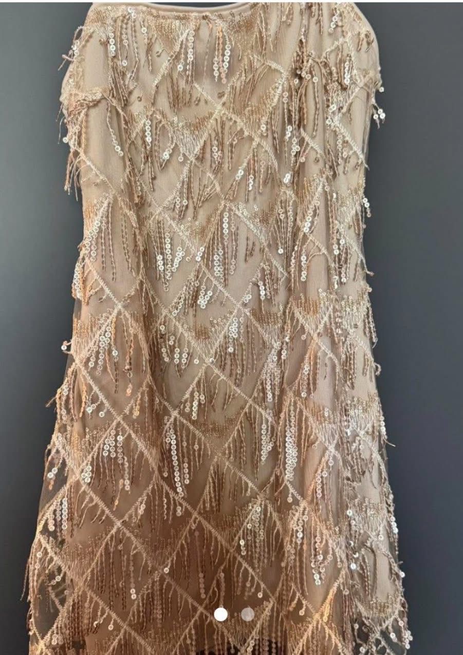 Homecoming Dress/Party Dress