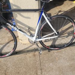Giant TCR C3 