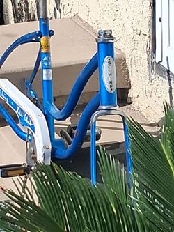 Girls project bike. $100