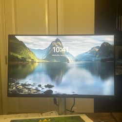 Dell 27 Monitors (2)