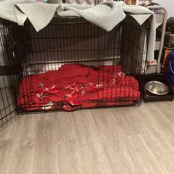 Large Dog Crate 