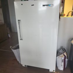 Standing Freezer