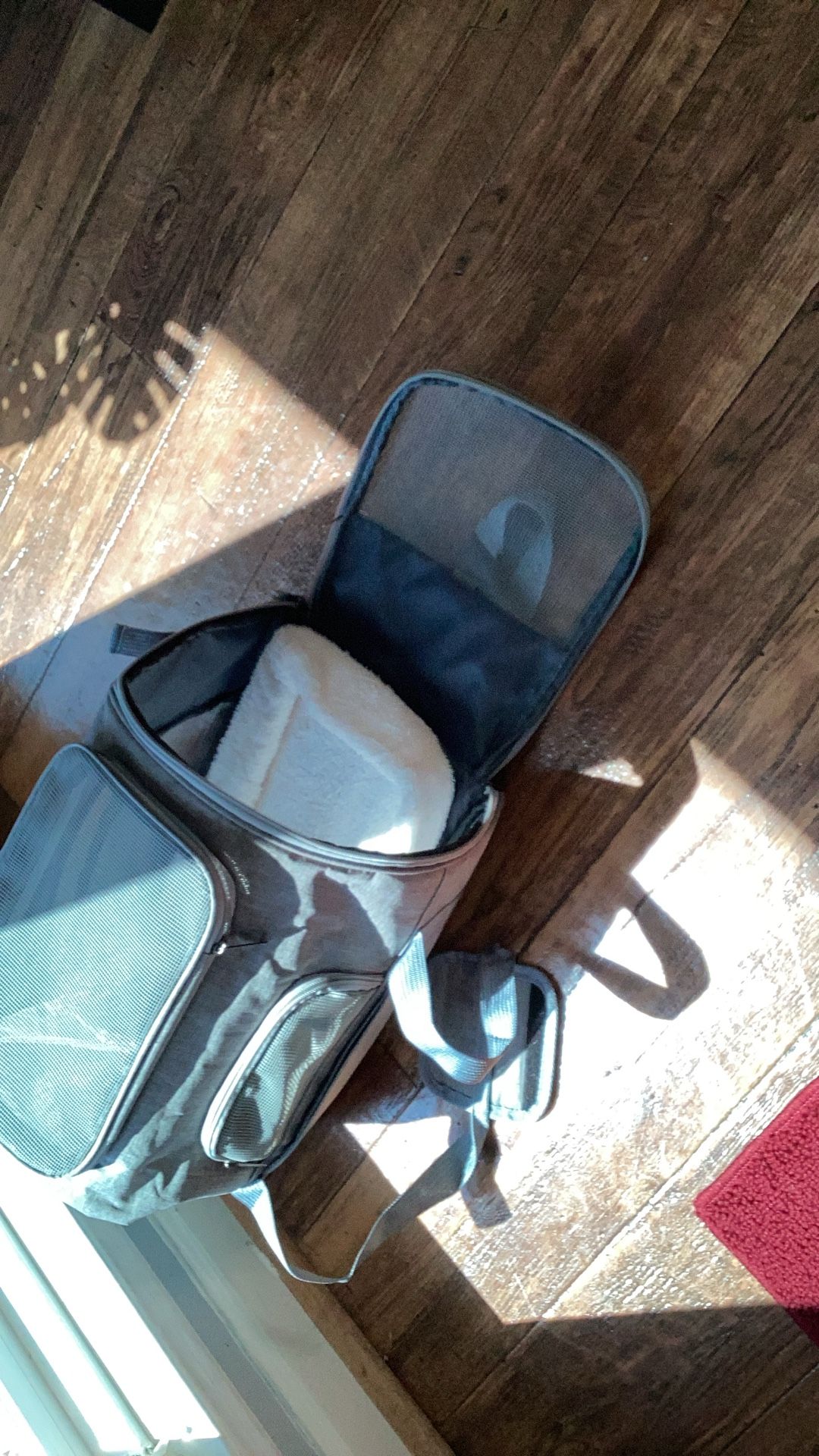 Small Pet Travel Cases