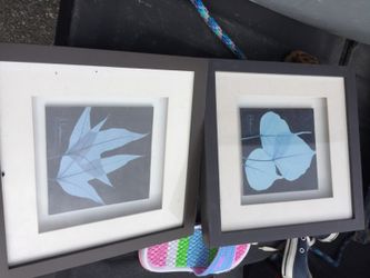 Pictures