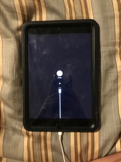 iPad mini
