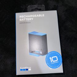 GoPro Hero 9 Black Battery