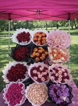 Roses bouquet valentines