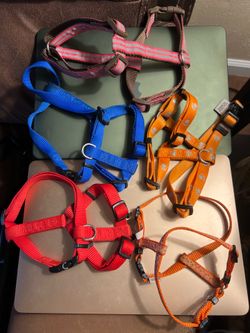 Set of 5 Dog Harness