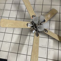 Ceiling Fan