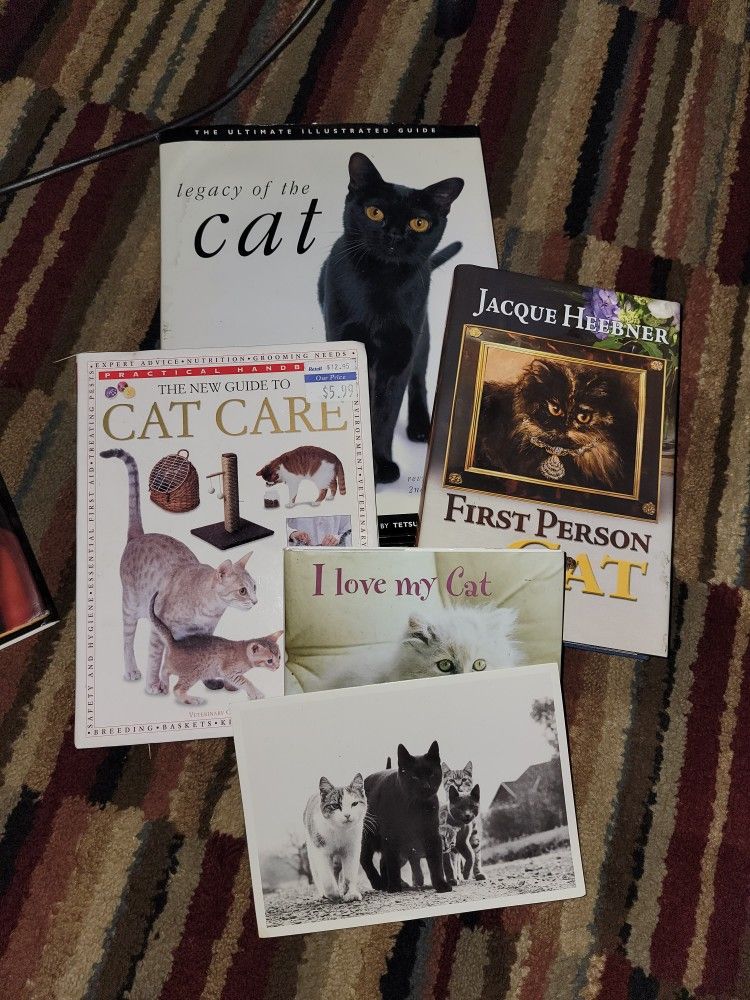 Cats Cats Cat Books