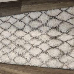 Area Rug
